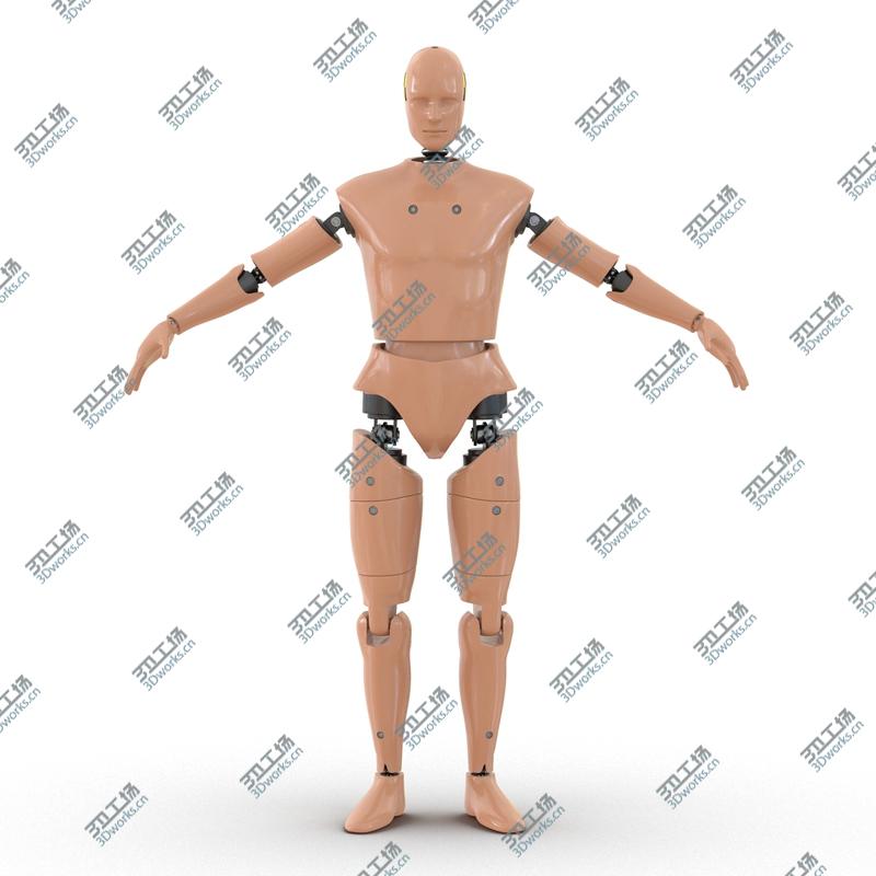 images/goods_img/202104092/Male Crash Test Dummy/5.jpg
